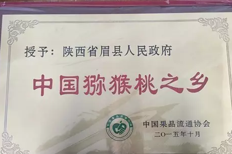 眉县猕猴桃为啥卖得这么火!原来因为这些~
