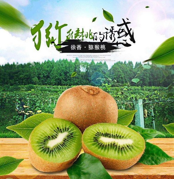眉县猕猴桃价格怎么样？多少钱一斤想买！
